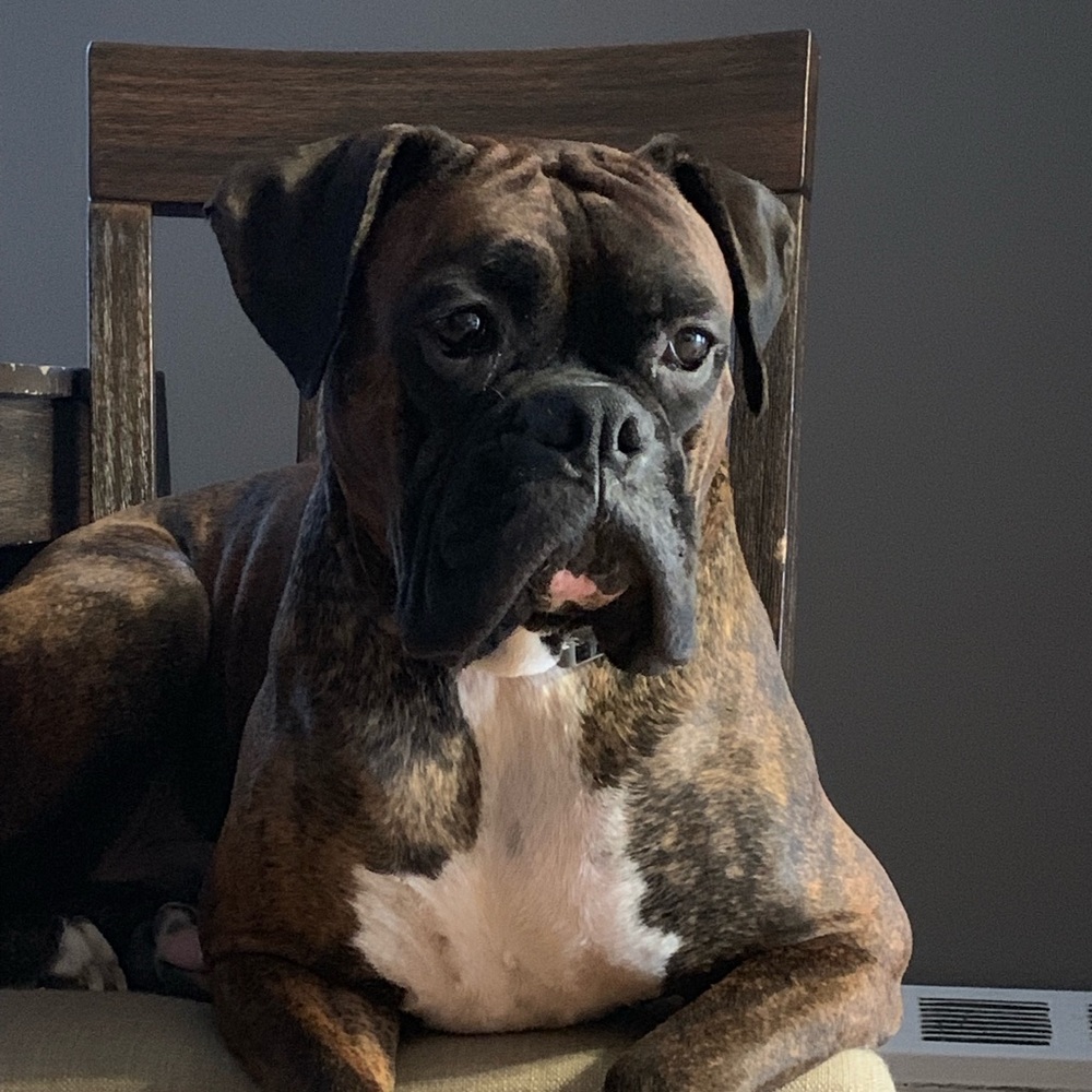 Meet your Posher, Sheena